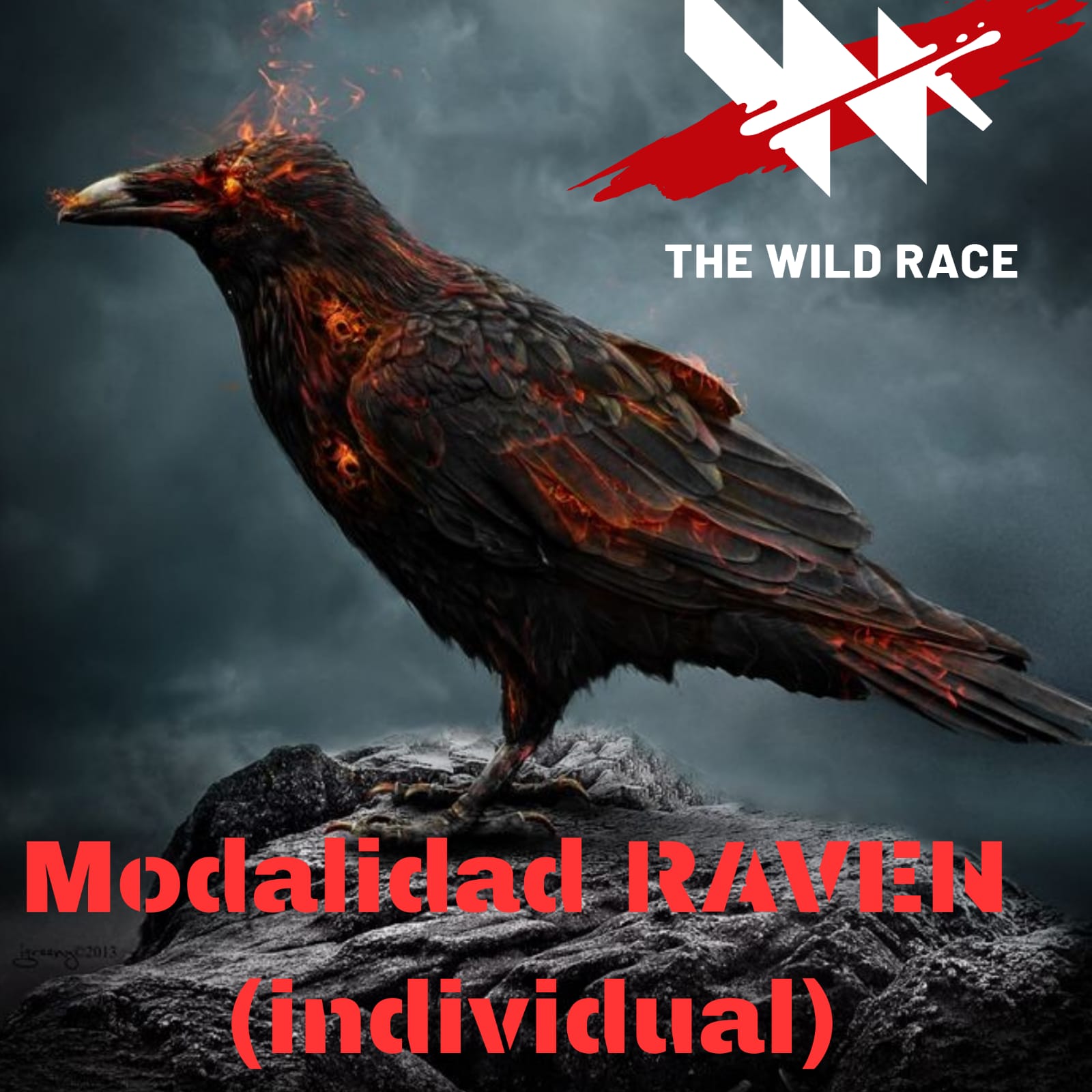 The Wild Race Raven